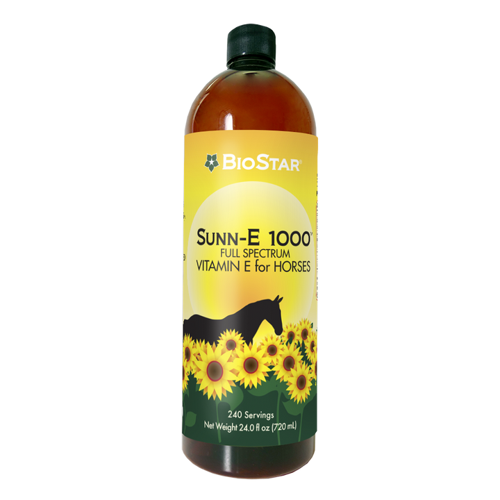 Sunn-E 1000