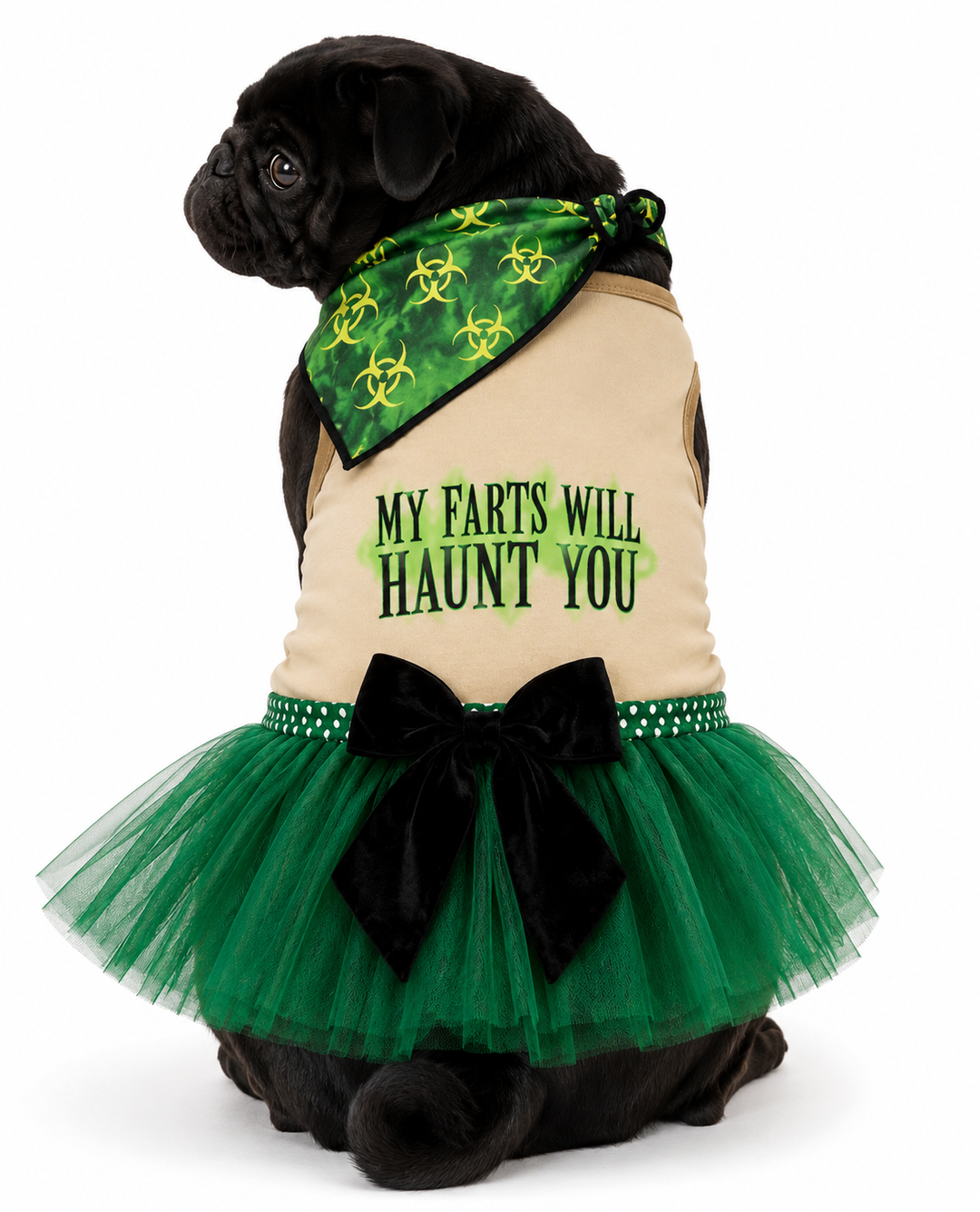 My Farts Will Haunt You Halloween Dog Costume