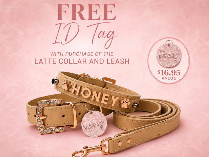 Latte Collar with Rose Gold -FREE ID Tag with set purchase!
