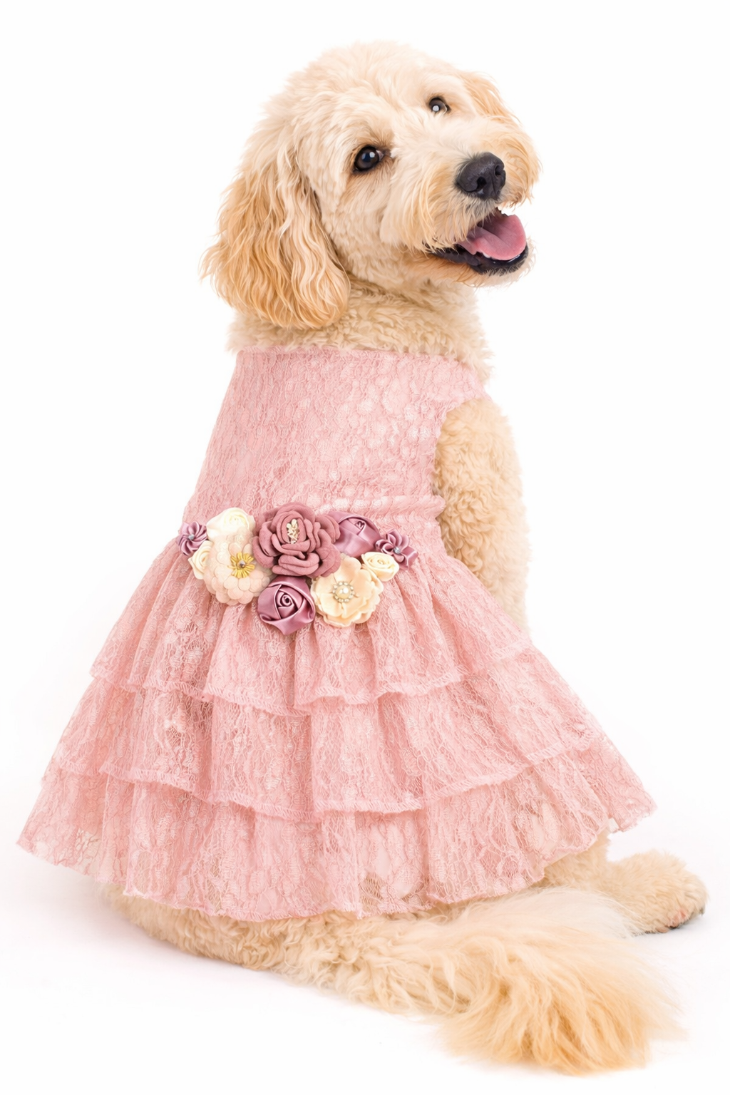 Formal Dog Dress | The Josefina