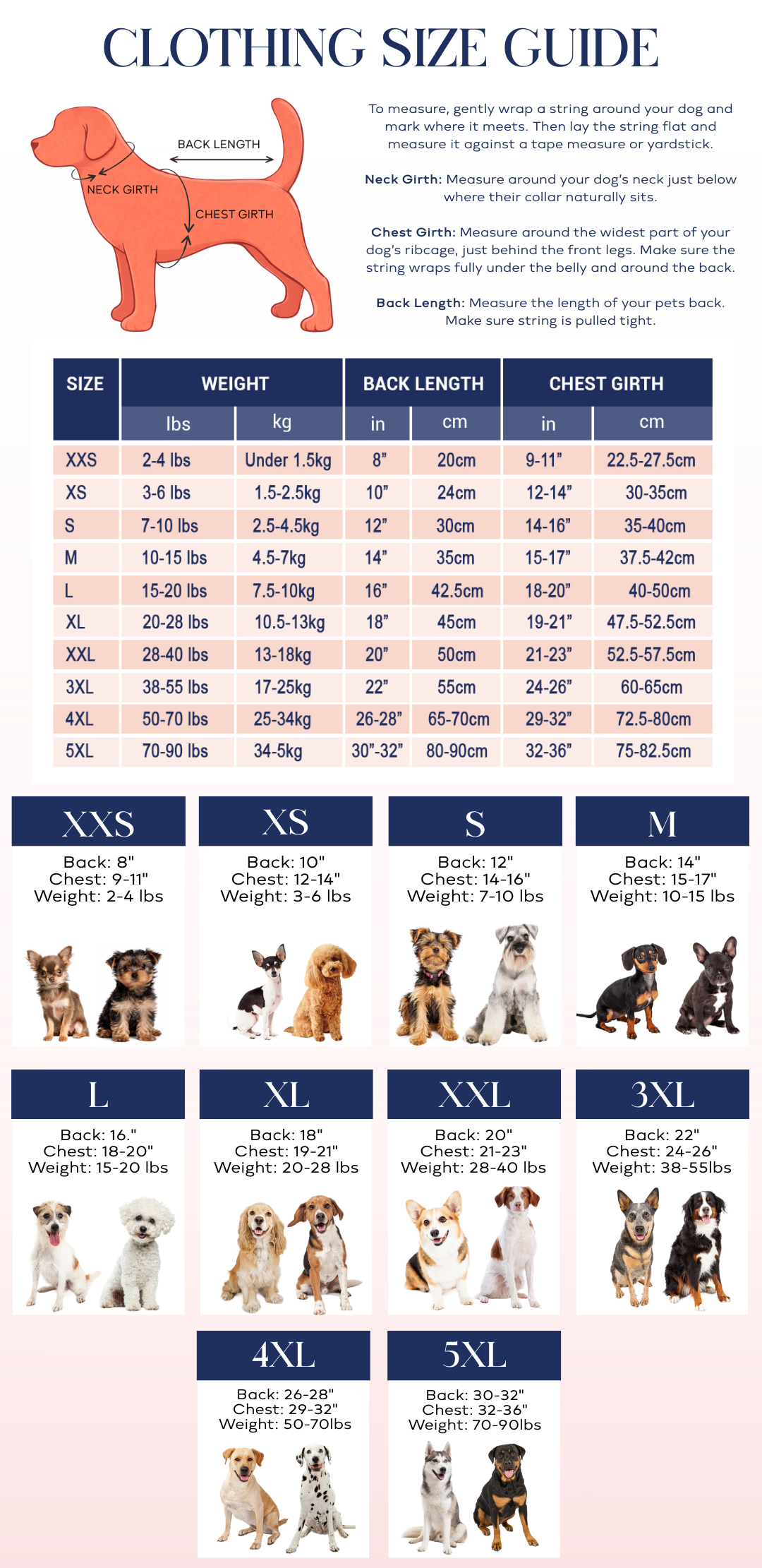 Dog clothing size guide with measurements and images of dogs in various sizes.
