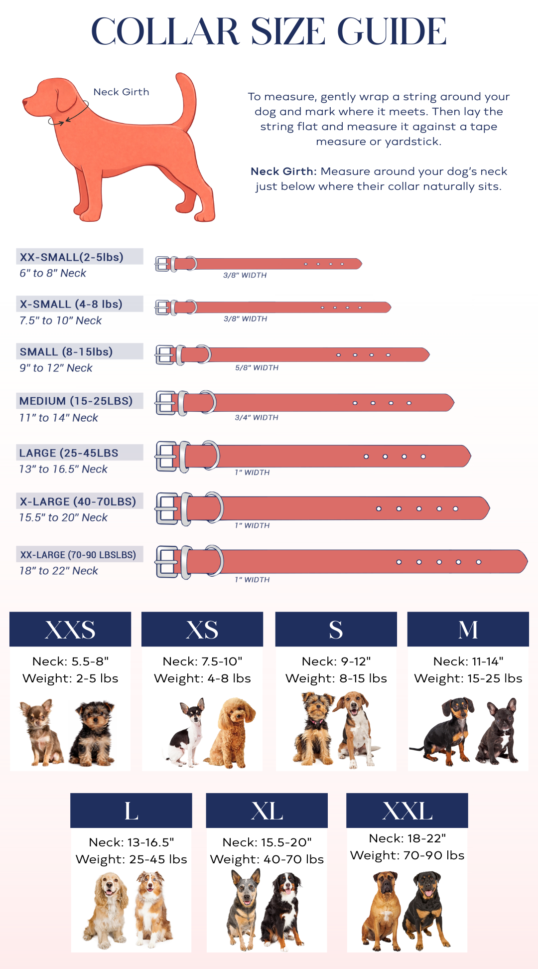 Collar size guide for dogs with illustrations of dogs and corresponding measurements.