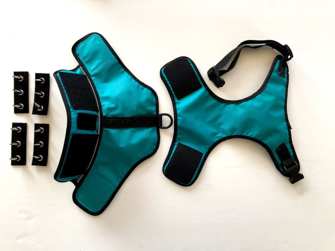 SpikeHarness