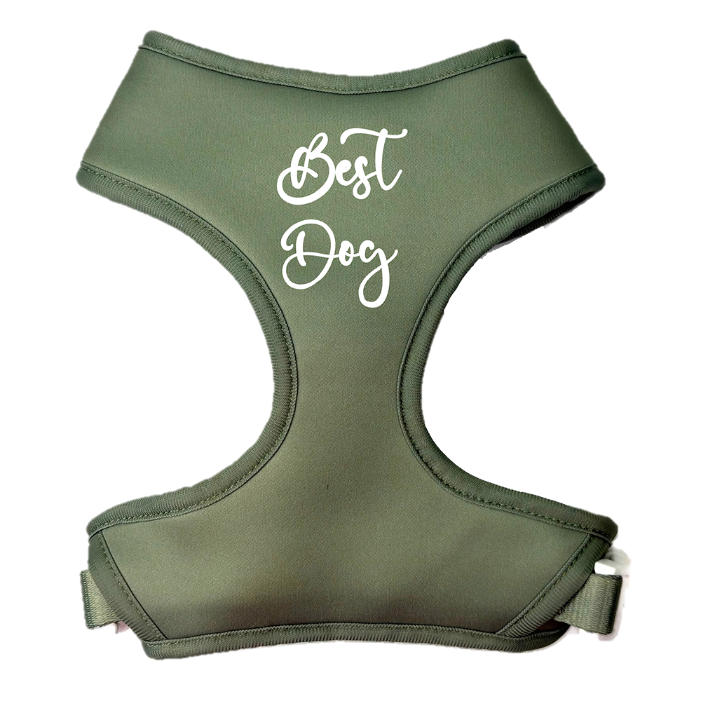 Best Dog Sage Satin Harness