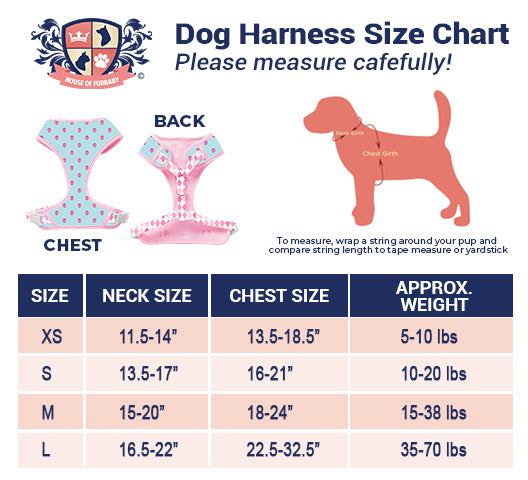 Ballet Blush Sparkle Harness