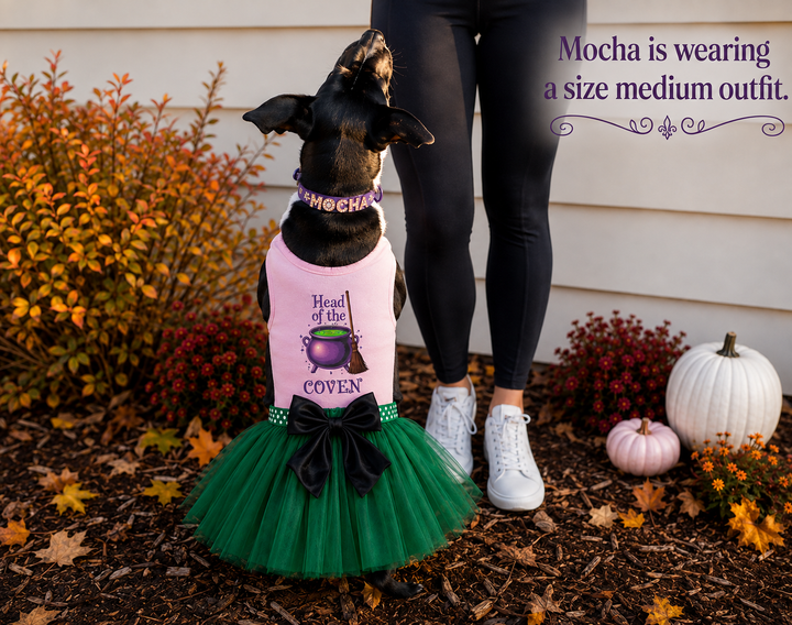 Halloween Dog Costume | Head Of The Coven