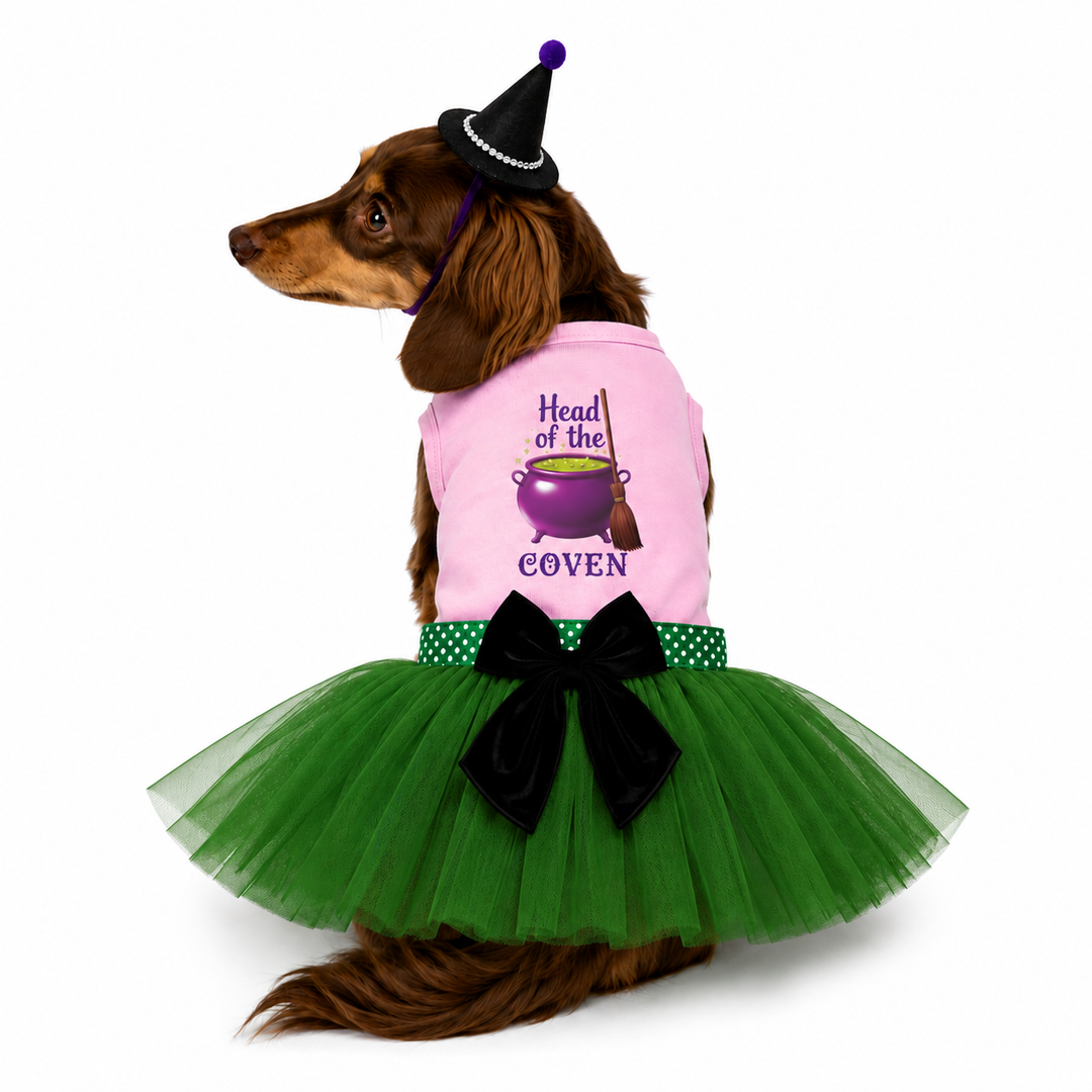 Halloween Dog Costume | Head Of The Coven
