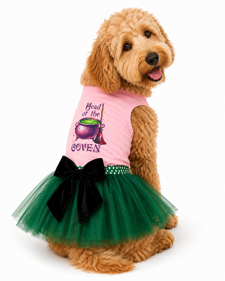 Halloween Dog Costume | Head Of The Coven