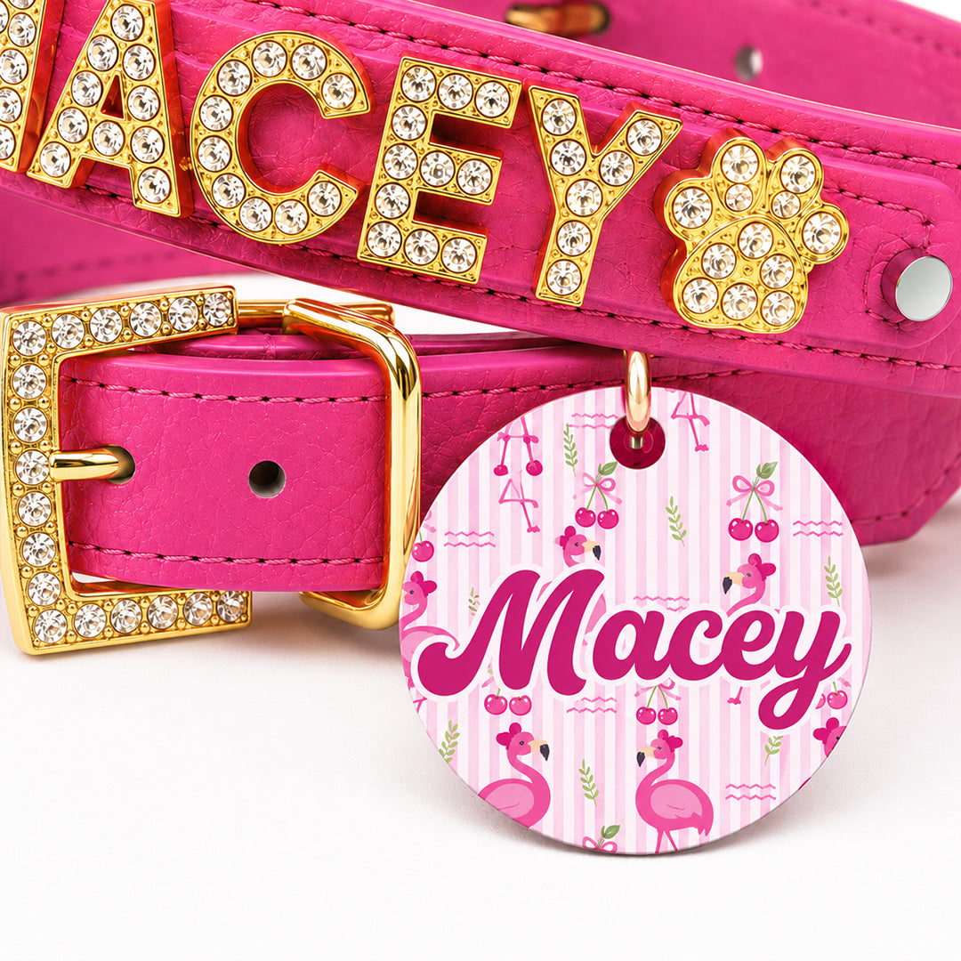 Collar | Pink Flamingo