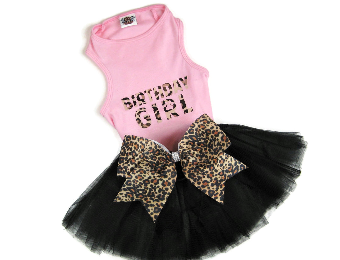 Birthday Party Package | Cheetah