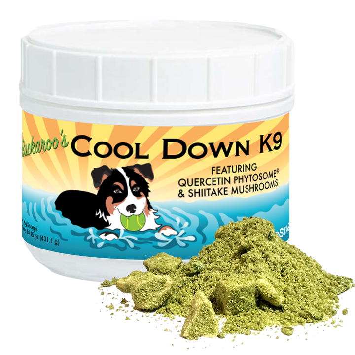 Buckaroo's Cool Down K9