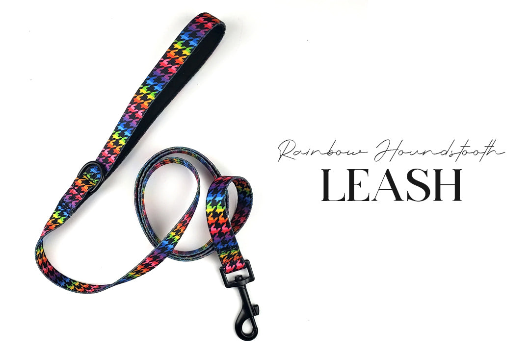 5 Piece Rainbow Skulls Puppy Bundle