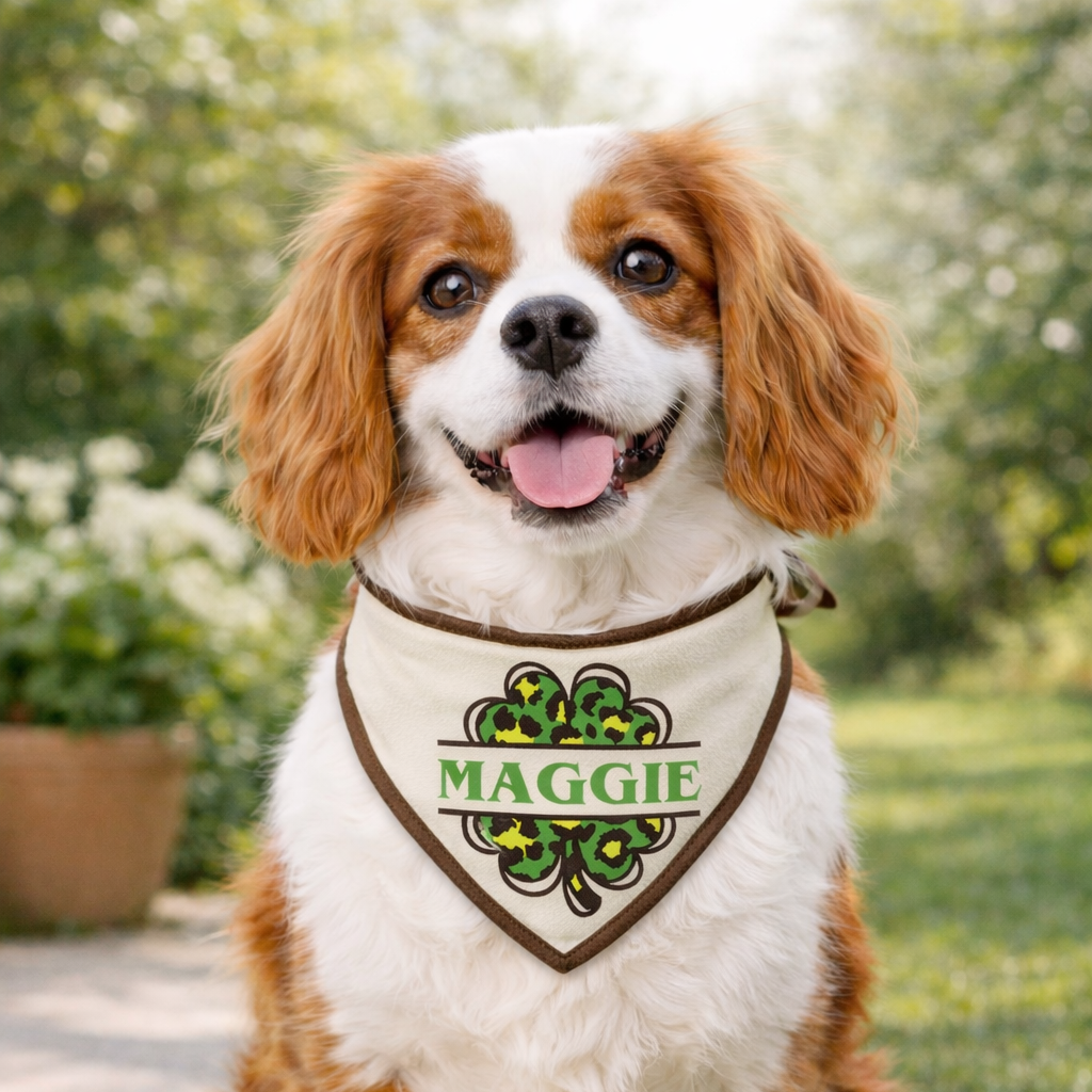Dog wearing a bandana with 'Maggie' on it, sitting outdoors.