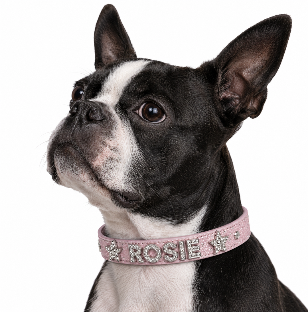 Light Pink Sparkle Personalized Pet Collar