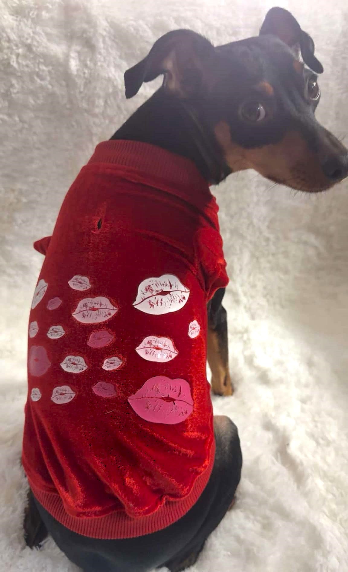 Puppy Kisses Valentine Velvet Sweater