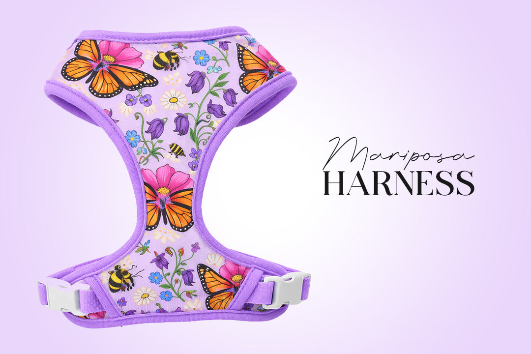 5 Piece Mariposa Puppy Bundle