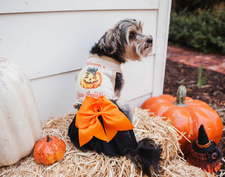 Mommy's/Daddy's Little Pumpkin Halloween Costume