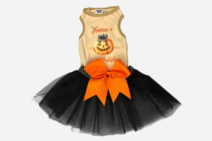 Halloween Dog  Costume | Mommy's/Daddy's Little Pumpkin