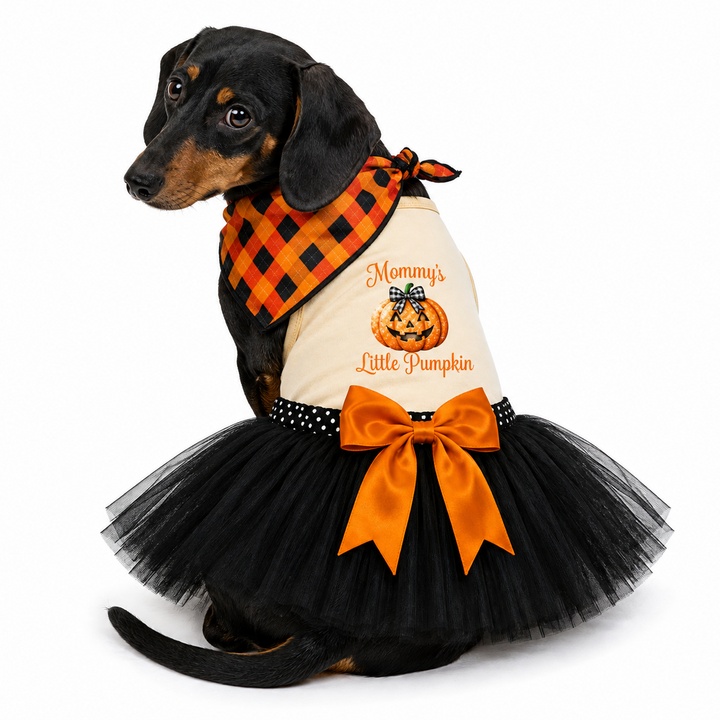 Mommy's/Daddy's Little Pumpkin Halloween Costume