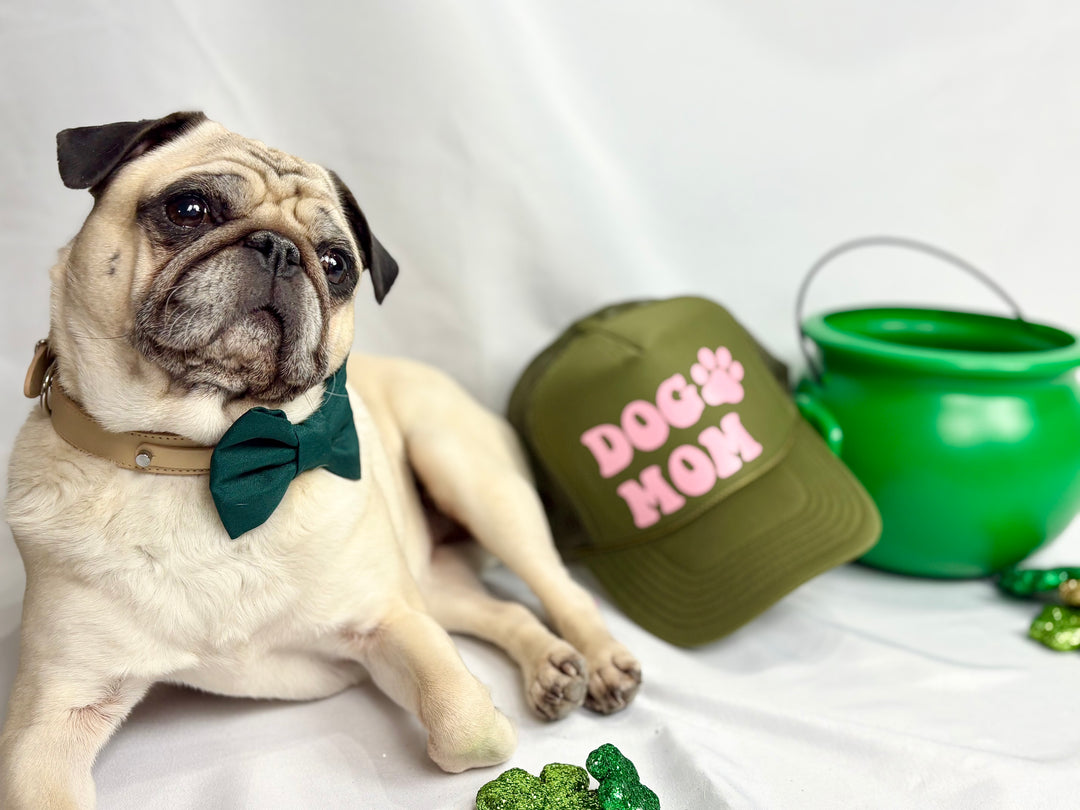Dog Mom Trucker Hat