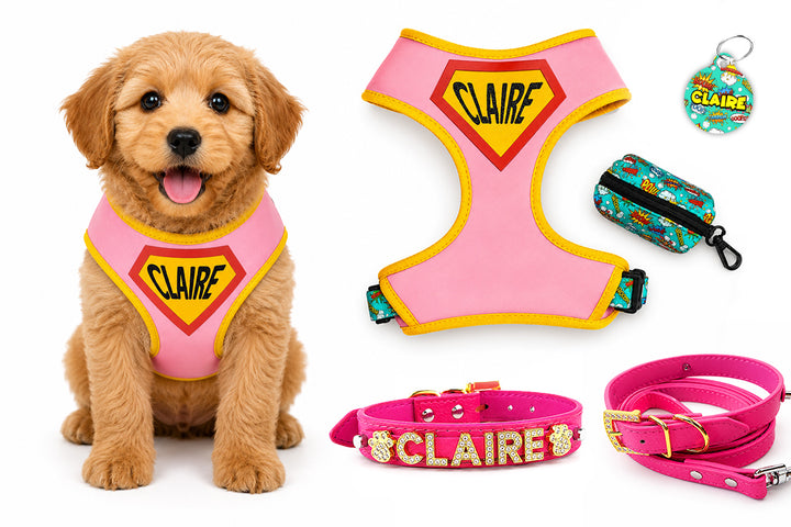 5 Piece Personalized Pink Superhero Puppy Bundle