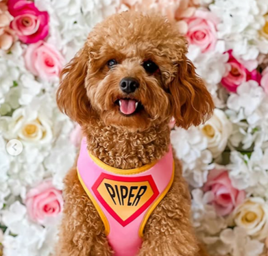 Pink Superhero Harness