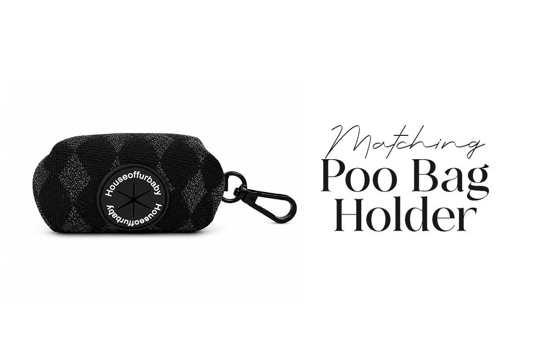 5 Piece Black Diamond Puppy Bundle