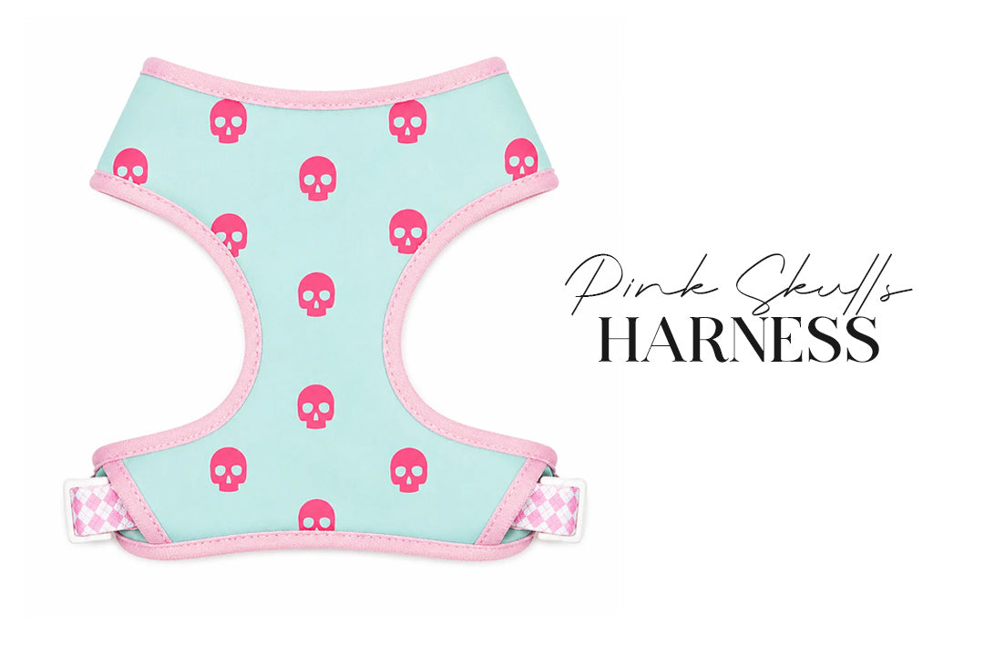 5 Piece Pink Skulls Puppy Bundle