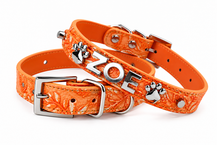 Pumpkin Spice Pet Collar