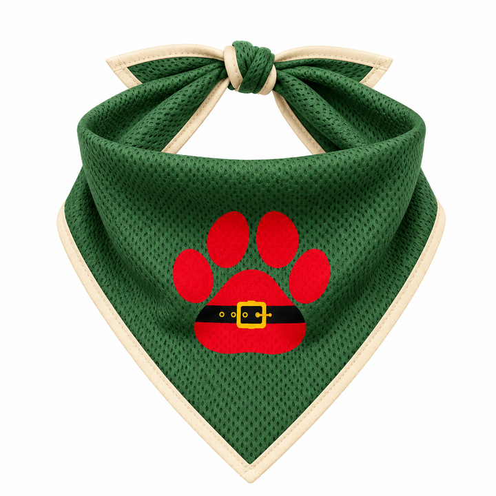 Christmas Dog Tee & Bandana Combo | Here Comes Santa Paws