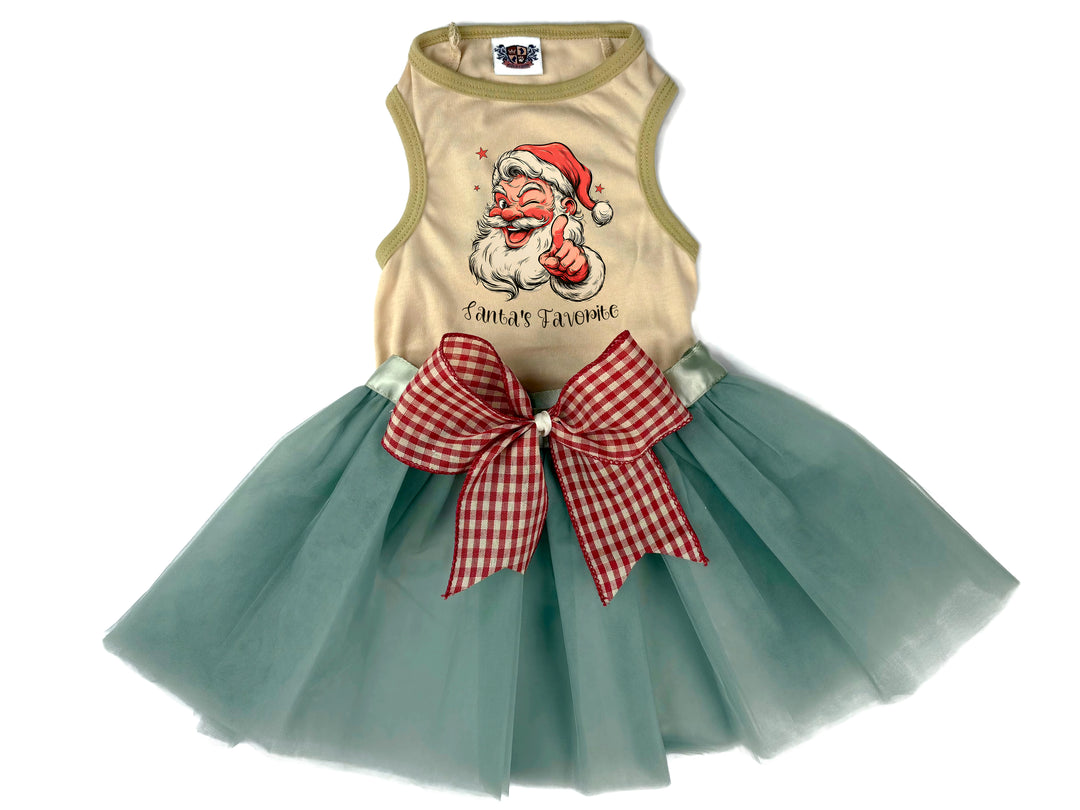 Santa's Favorite Pet Outfit