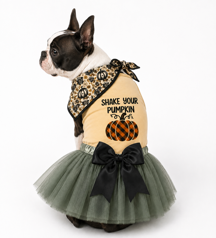 Shake Your Pumpkin Dog Costume