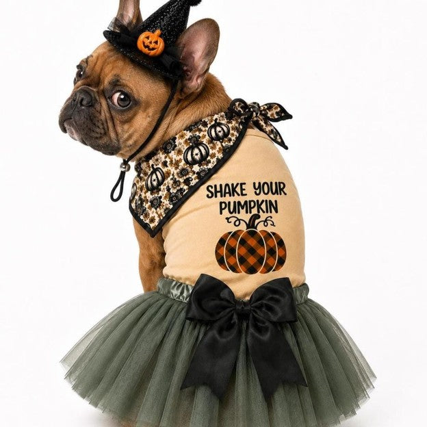 Shake Your Pumpkin Dog Costume