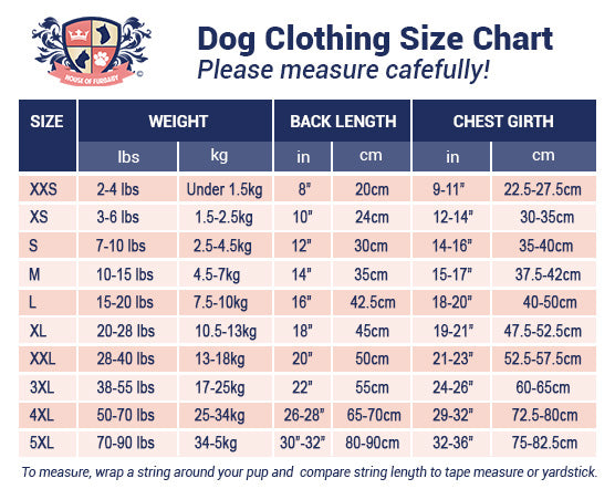 Personalized Rainbow Pride Dog Tee