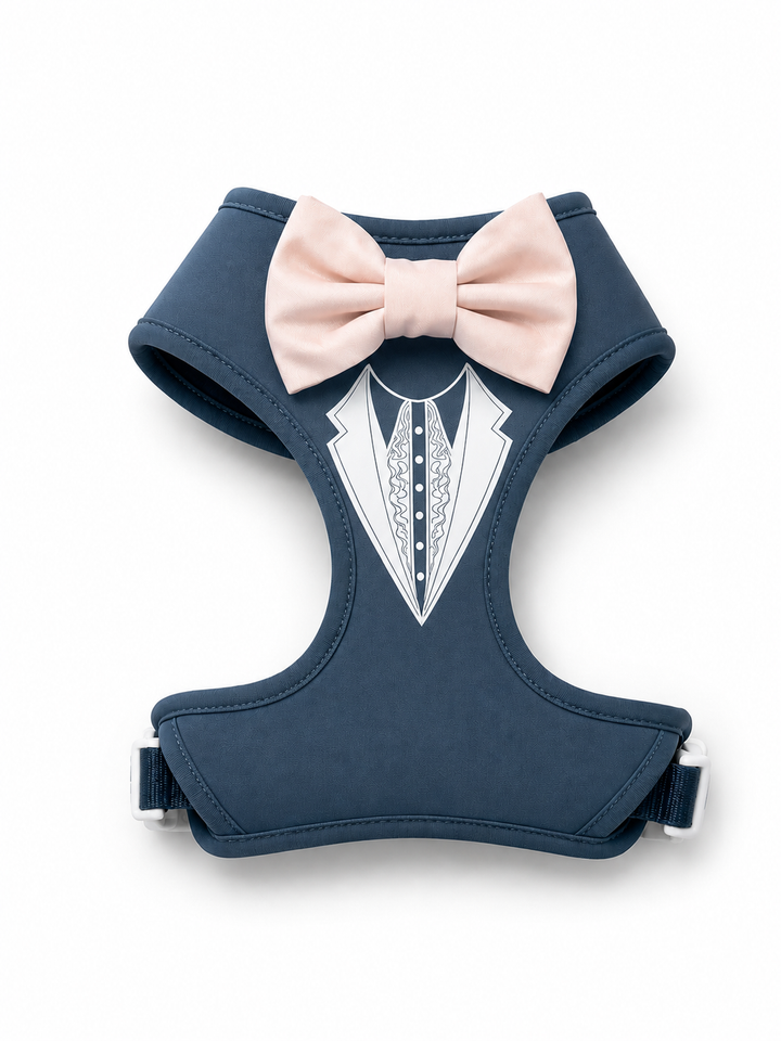 Groove Tuxedo Harness in Slate Blue