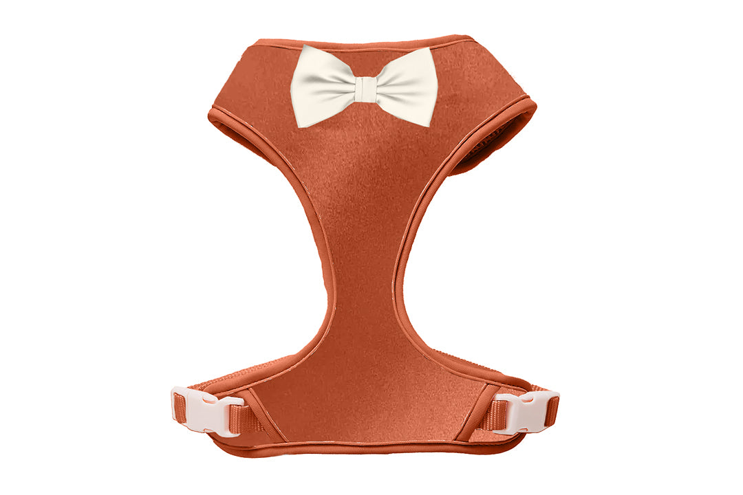 Terracotta harness- 15 bow color options