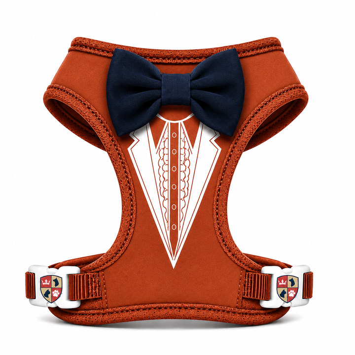 Groove Tuxedo Harness in Black | 30 Bowtie Color Options