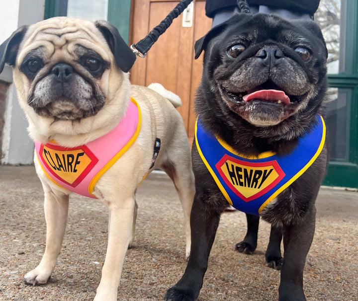 Pink Superhero Harness