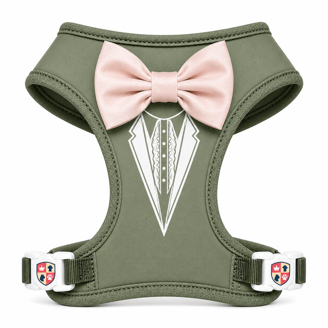 Groove Tuxedo Harness in Black | 30 Bowtie Color Options