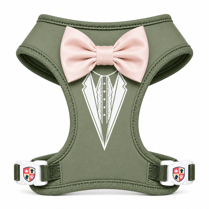 Groove Tuxedo Harness in Black | 30 Bowtie Color Options