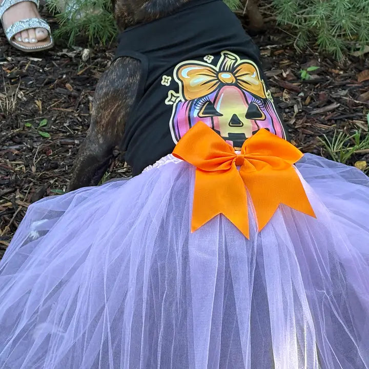 Halloween Dog  Costume | Coquette Pumpkin