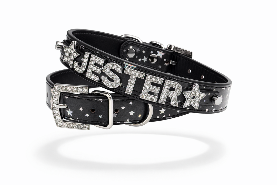 Star Bright Personalized Collar