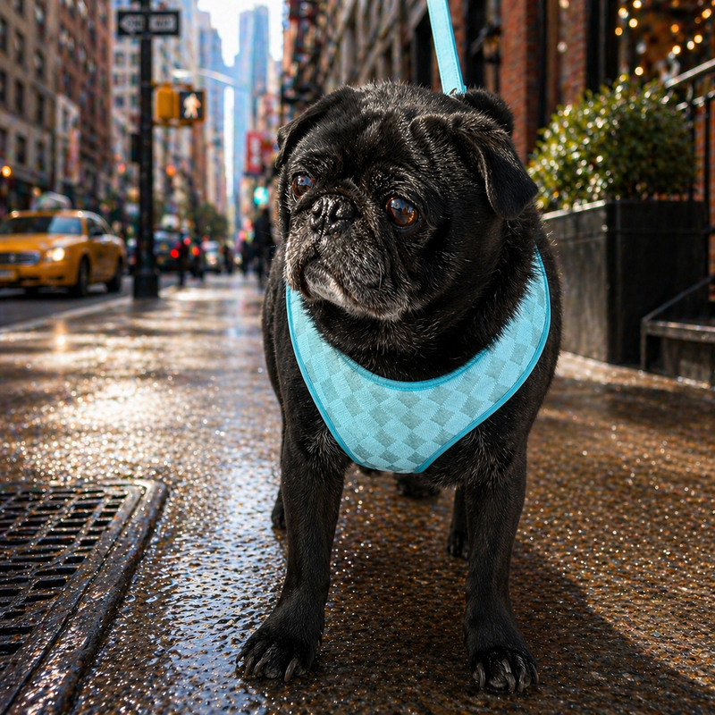 Blue Diamond Sparkle Harness