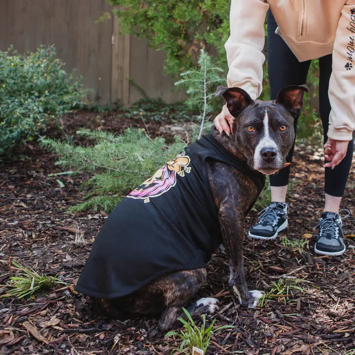 Halloween Dog  Costume | Coquette Pumpkin