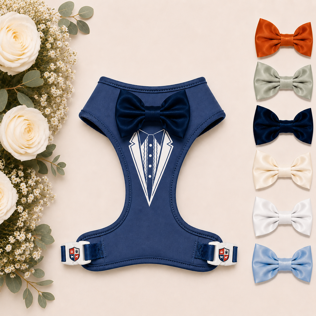Groove Tuxedo Harness in Slate Blue