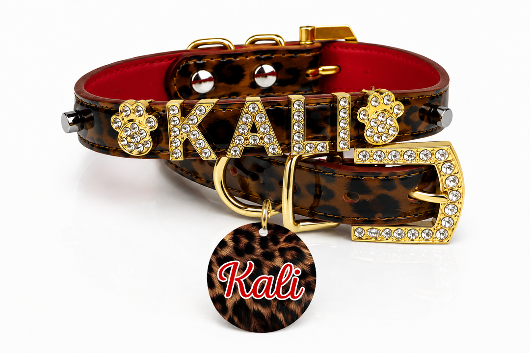 Personalized Collar | Cheetah and Gold