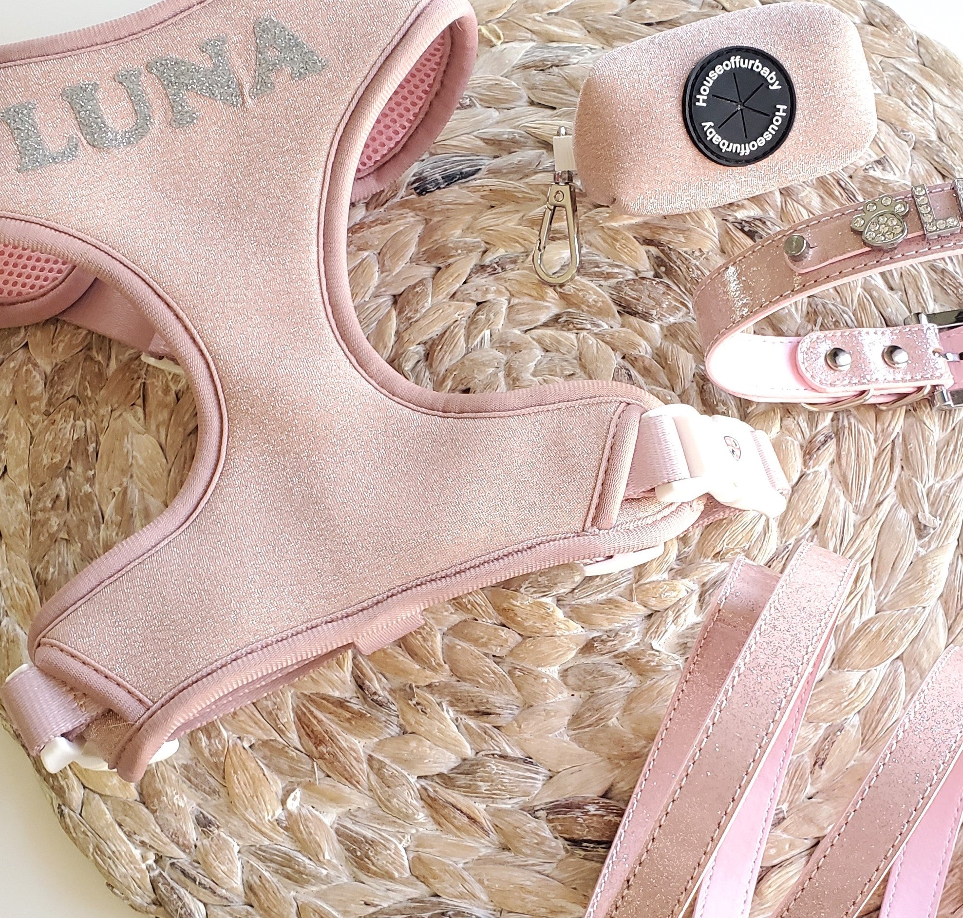 Ballet Blush Sparkle Harness
