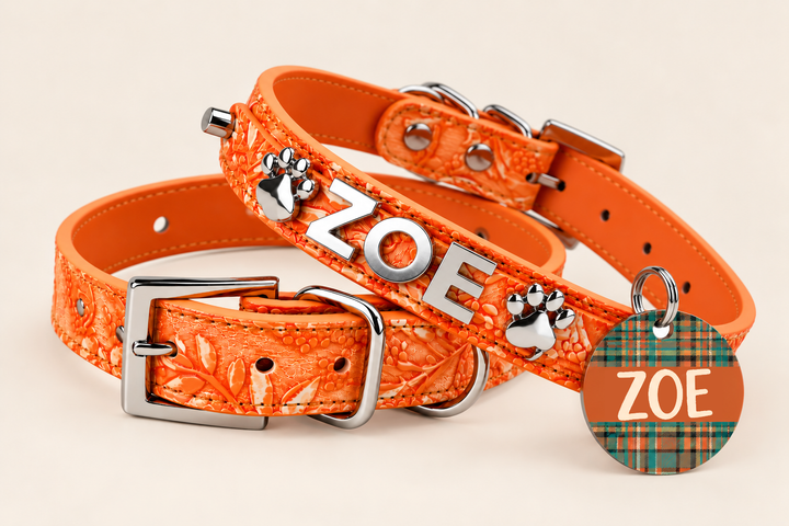 Pumpkin Spice Pet Collar