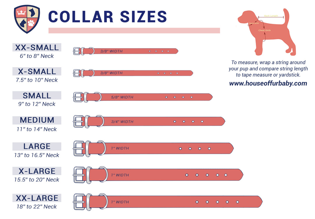 Star Bright Personalized Collar