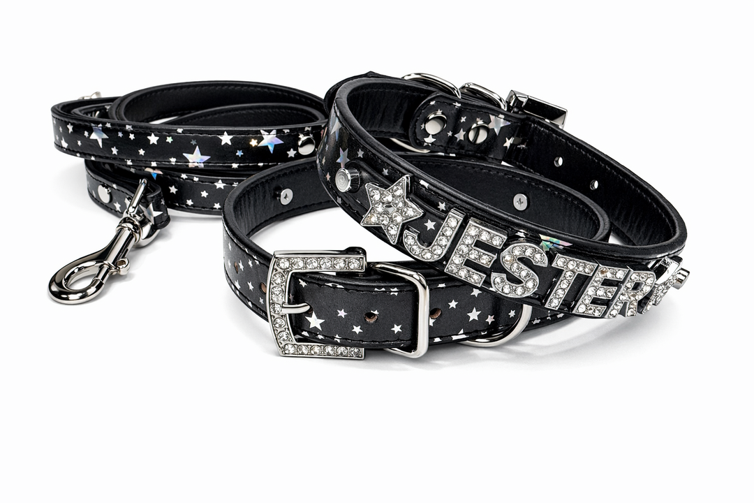 Star Bright Personalized Collar